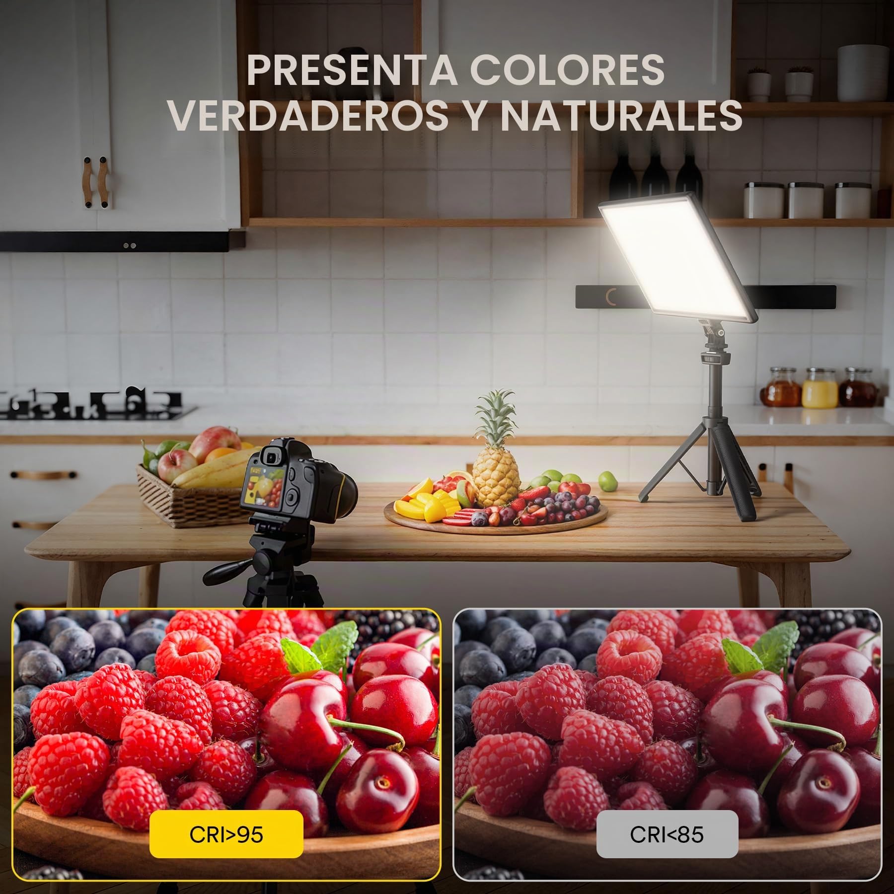 RALENO Luz del Panel de Video Led, 19,5 W luz de Cámara de Baterías Incorporadas de 4000 mAh * 2, CRI>95 3200-5600 K Luces de Estudio de Fotografía para TikTok Youtube Grabación de Video Transmisión