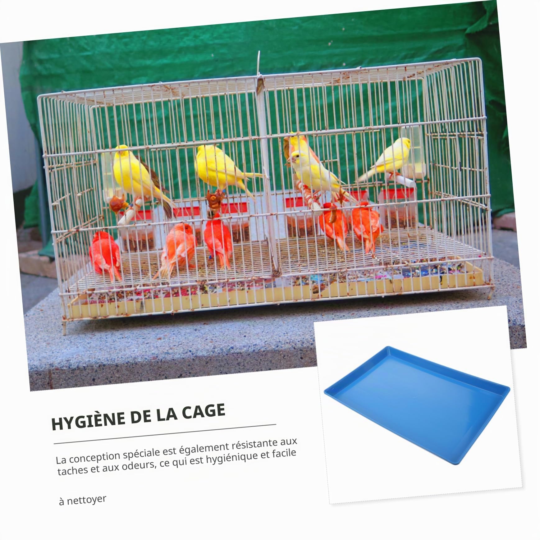 Yardwe Plateau Bac à Litière Antidébordement pour Cage de Chien en Plastique Bleu Facile à Nettoyer, pour Cage ou Caisse d'animaux