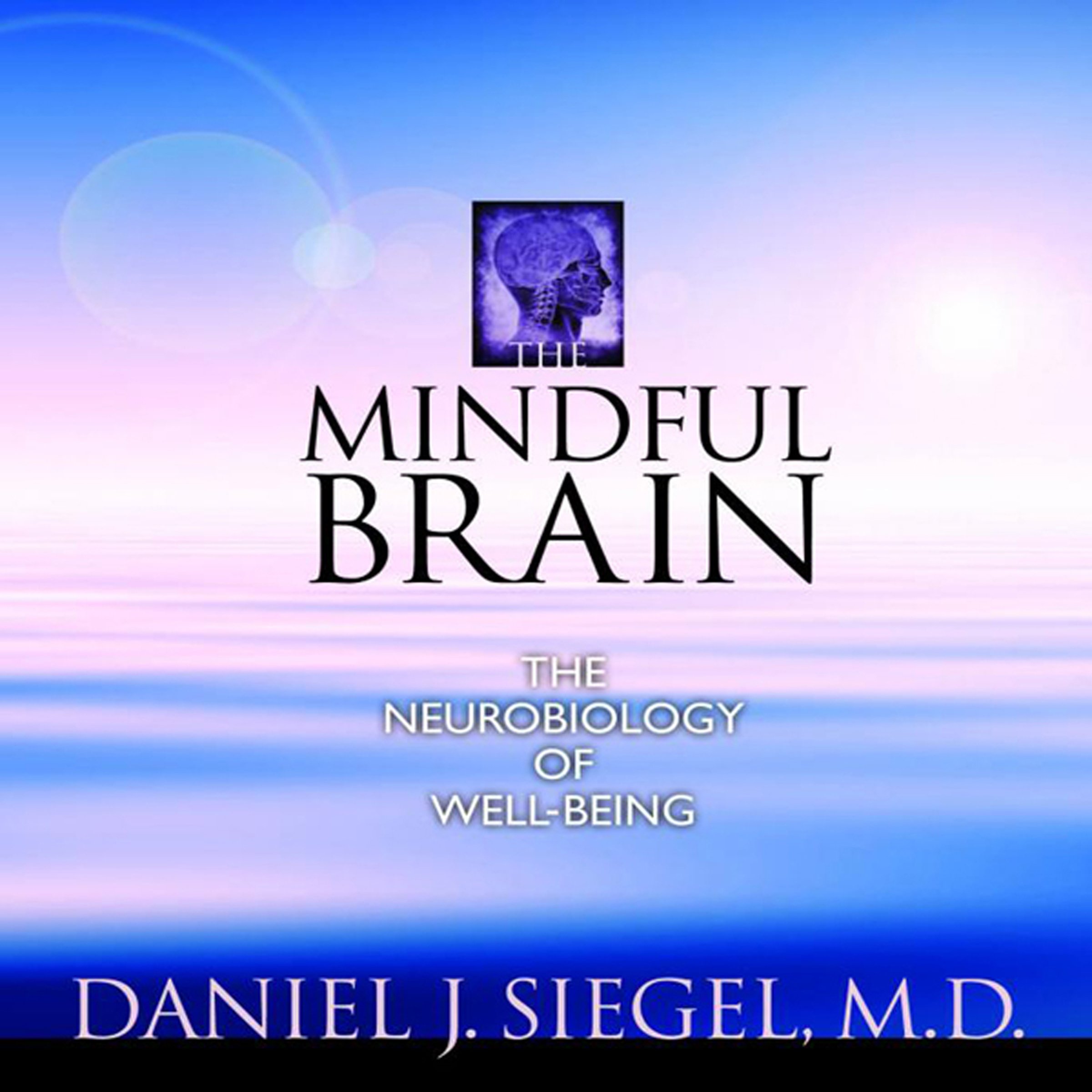The Mindful Brain