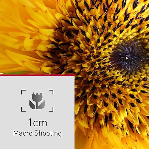 Miniatura 10 de Panasonic LUMIX FZ80D - Cámara digital para apuntar y disparar, grabación de fotovideo 4K con estabilizador de imagen óptica de potencia, cámara de