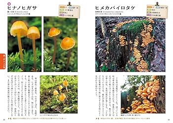 Amazon.co.jp: 身近なキノコ図鑑（知りたい会いたい 色と形で