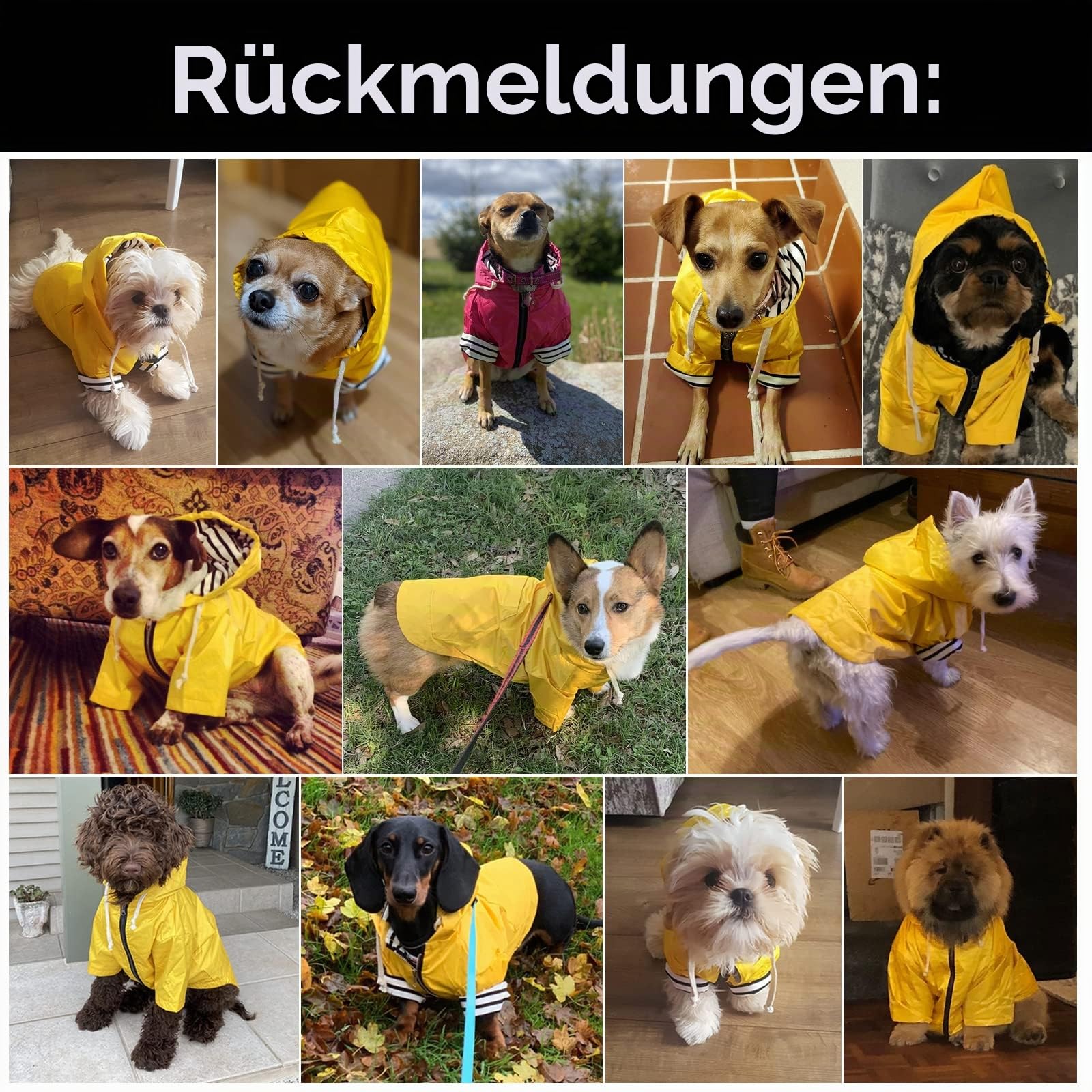 MOREZI Wind&Wasserdicht Hunderegenmantel mit Beinschutz & Fest Kapuze - Leichtes Outdoor - Für kleine/mittlere Hunderassen - Reißverschluss, Verstellbarer Kordelzug, Gelb, XS