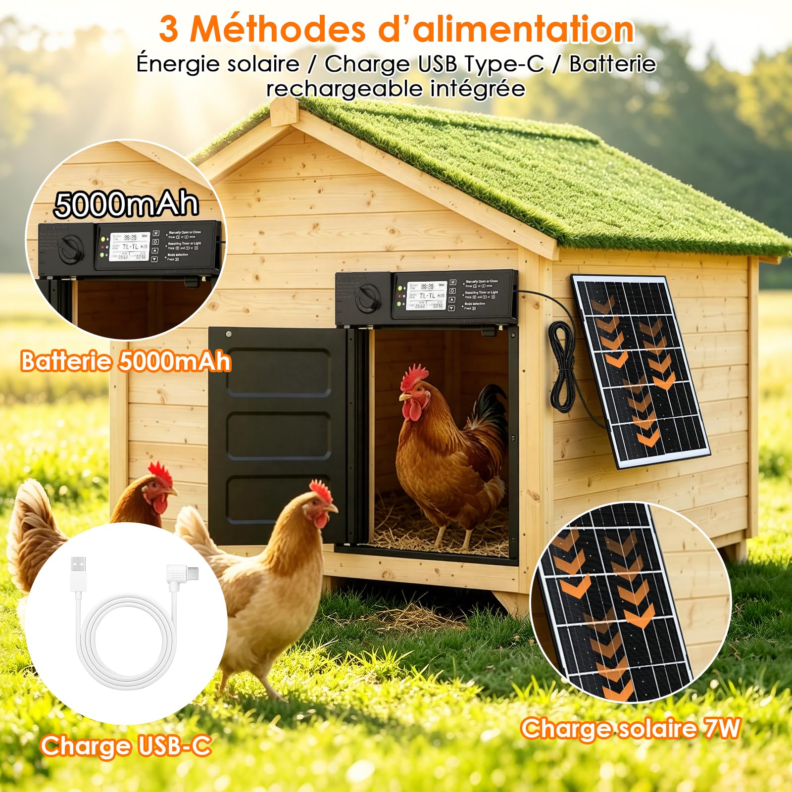 Grande Porte Poulailler Automatique Solaire, Porte Automatique Poulailler Solaire en Aluminium avec Écran LCD Étanche, Minuterie, Télécommande, Fonction Anti-pincement