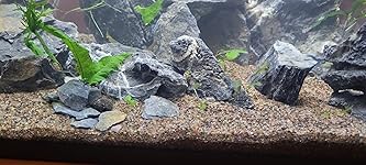 Review Image by Chelsea Chelsea