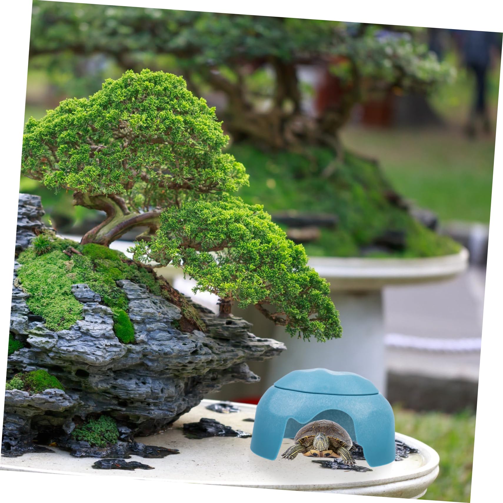 Cueva Escondite para Reptiles y Tortugas con Comederos Azul