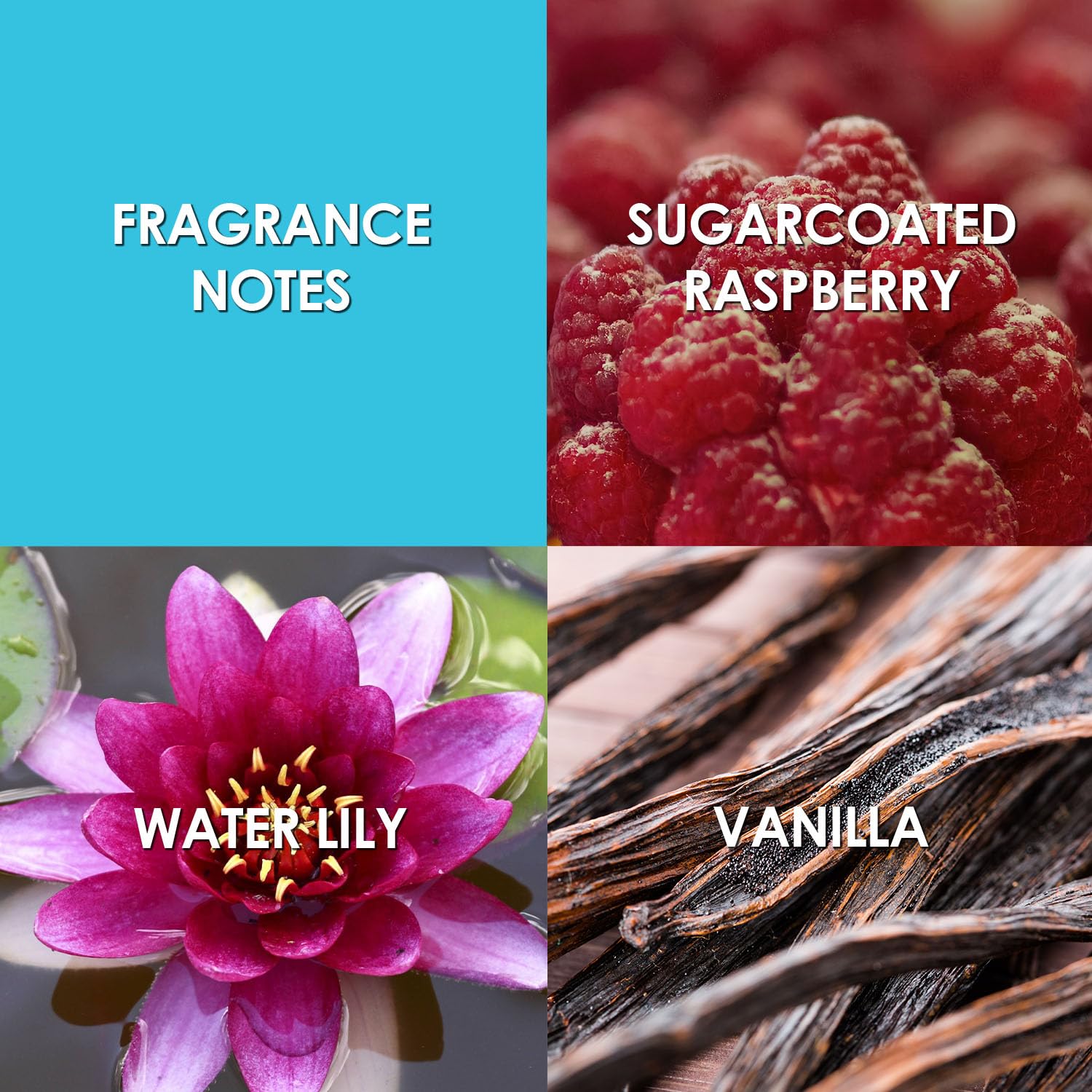 Britney Spears Women's Perfume, Circus Fantasy, Eau De Parfum EDP Spray, 3.3 Fl Oz