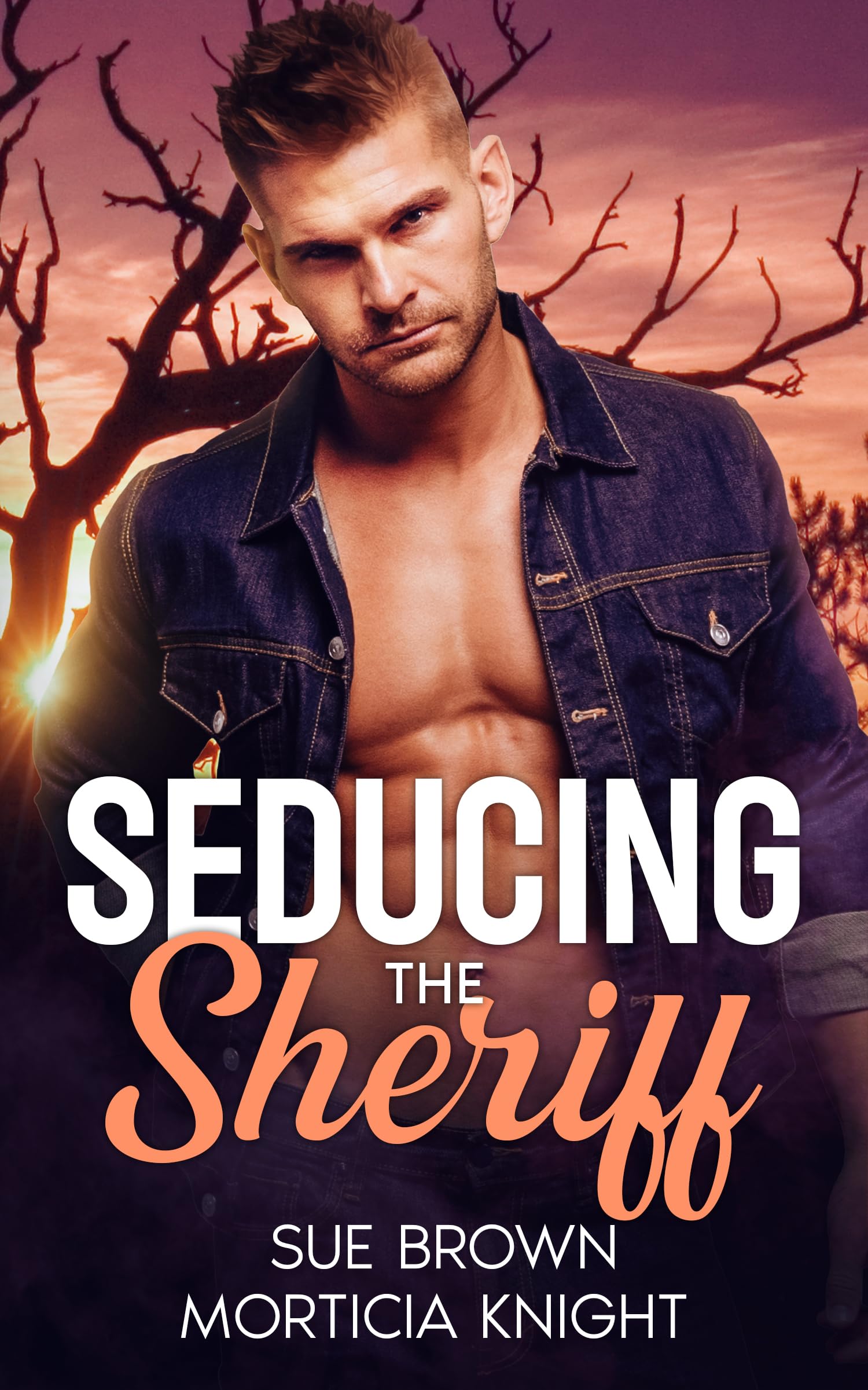 Seducing the Sheriff: An MM Small Town Romance (Charming Butte Book 2)