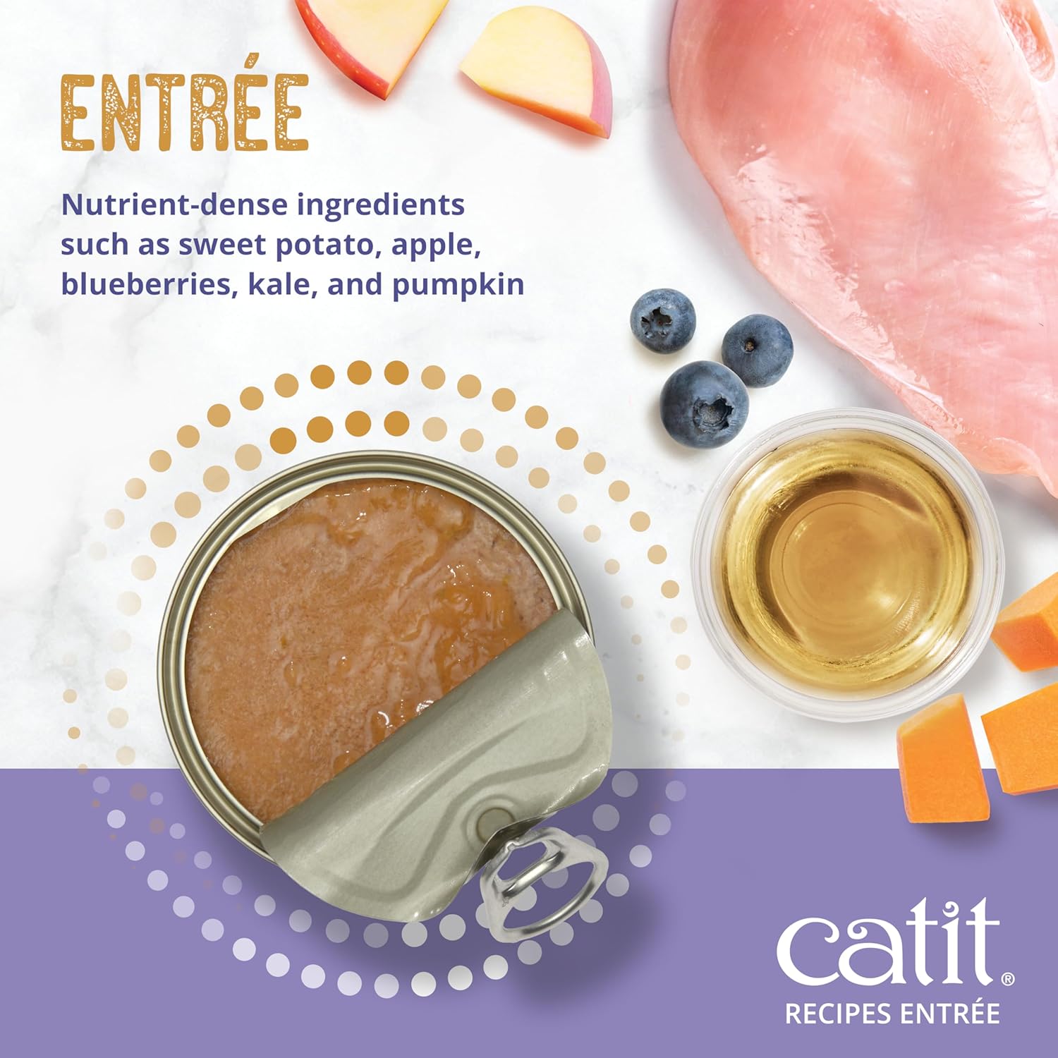 Catit Recipes Indoor Chicken & Seafood Entrée – High-Protein Wet Cat Food with Salmon, Tuna & Sardine, Omega-3 for Skin & Coat, L-Carnitine, Prebiotics for Gut Health, Hydrating Bone Broth 3oz (24/cs)