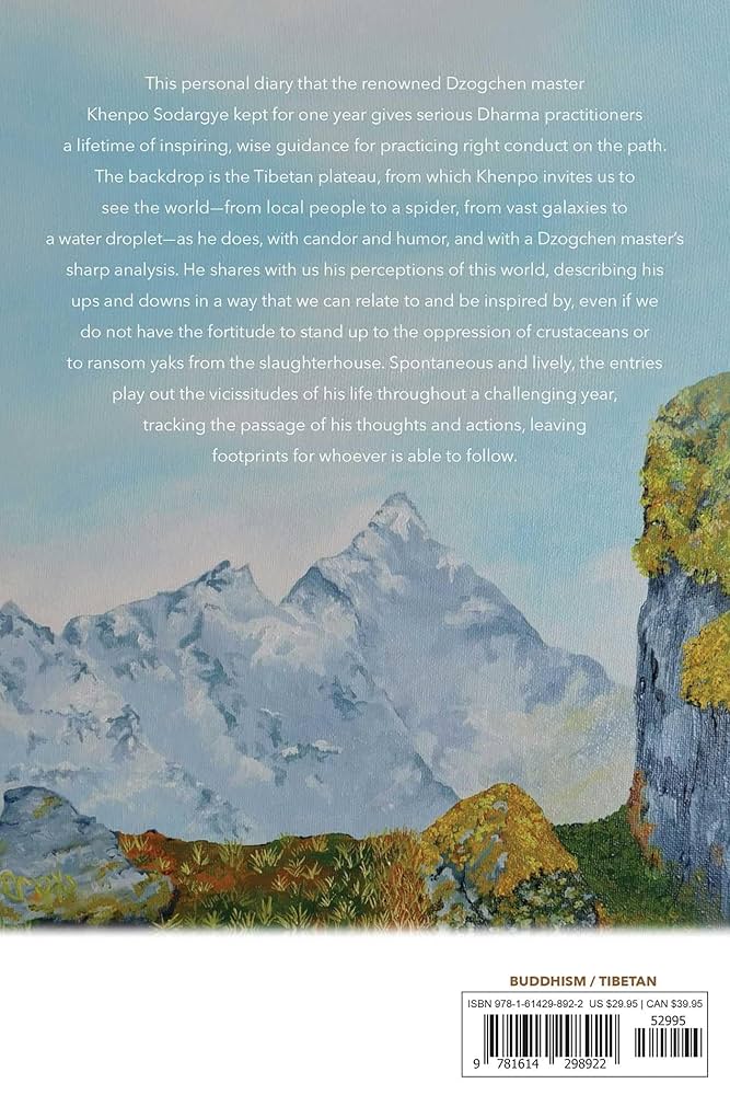 Amazon.com: Footprints on the Journey: One Year Following