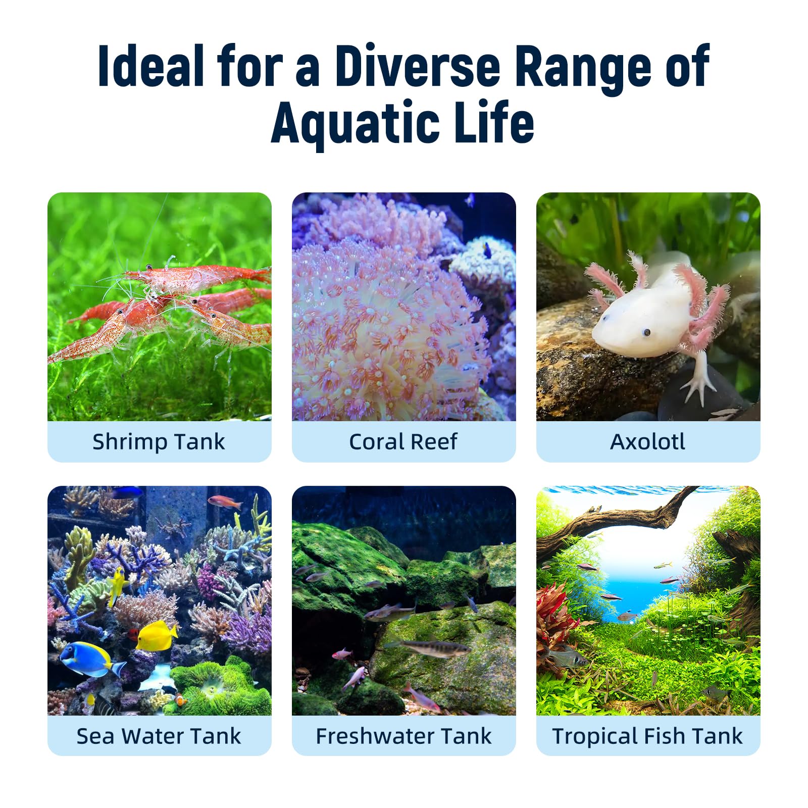 AQUASMITH Aquarium-Kühlventilator, Aquarium-Kühler mit Temperaturregelung, minimale Einstellung 15 °C, automatischer Start/Stopp, Kühlungseffekt -14,8-12,8 °C, 3 Geschwindigkeitsmodi, für Axolotl