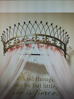 OctoRose Metal Wall Teester Bed Crown Canopy