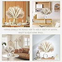 Vista 2 de 70 UNIDADES Hierba de Pampa Seca Natural Estilo Boho para Decoración del Hogar Ramo de Phragmites Flores Secas para Arreglos Florales de Boda
