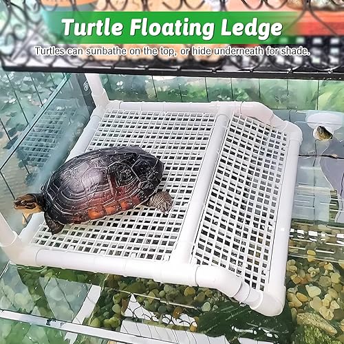 Vista 28 de Fhiny Plataforma para tomar tortugas, muelle de tortuga, terraza, rampa de escalada, reptiles, hábitat, terrario, accesorios de decoración