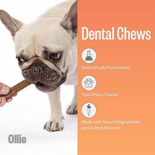 Miniatura 2 de Ollie Masticables dentales para perros XS- Golosinas para el aliento de perro, golosinas de limpieza de dientes de perro, palitos dentales para
