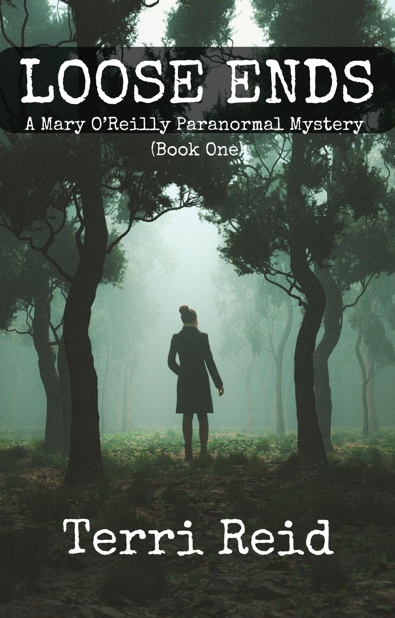 Loose Ends (Mary O'Reilly Book 1)