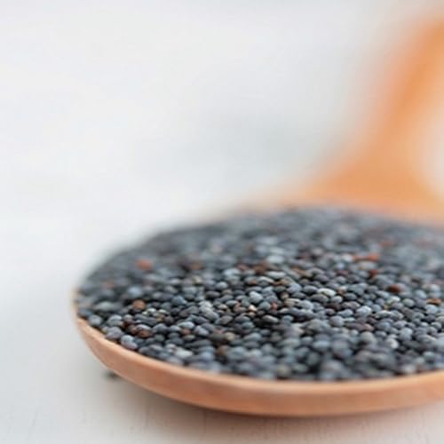 Beefy Pasta Casserole - //medicalbooks.filipinodoctors.org