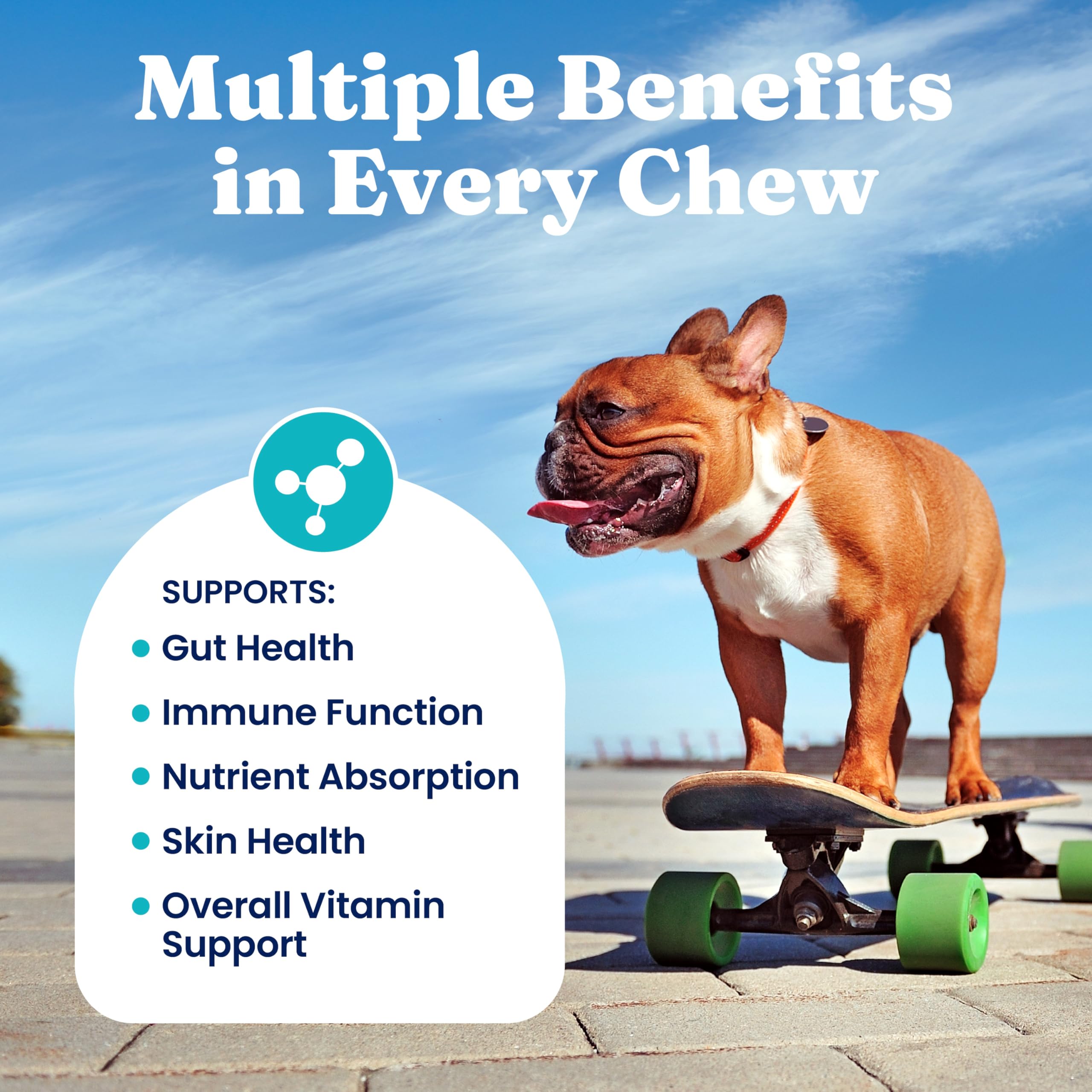 Solid Gold Dog Vitamins, Multivitamin Chews for Immune & Skin, 120ct — Amazon image 4
