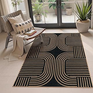 Lahome Modern Geometric Outdoor Easy Jute Rug, 3x5 Indoor Outdoor Rugs f...