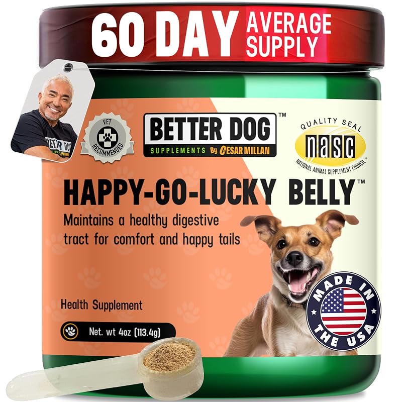 Suplemento em Pó para Cães com Psyllium e Blend de Ervas Better Dog Supplements By Cesar Millan, 113 g