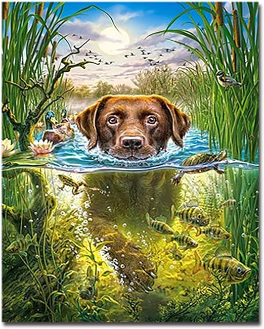 Amazon Co Jp ポスターと版画絵画塗装水泳犬キャンバス壁アートぬりえ動物魚の写真デッサン家の装飾70x90cmフレームなし ホーム キッチン