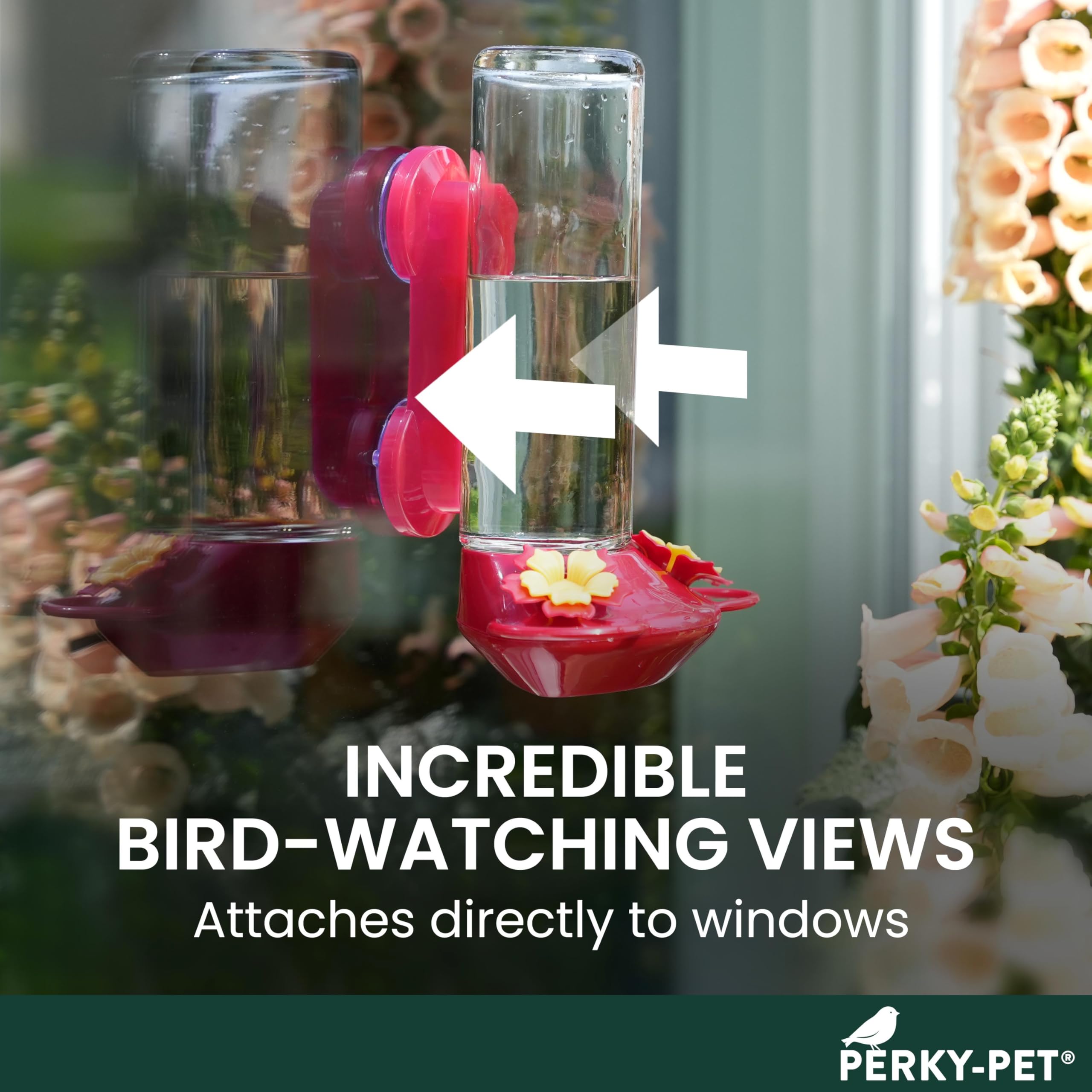 Snapklik.com : Window-Mounted Glass Hummingbird Feeder - 14 Fl Oz