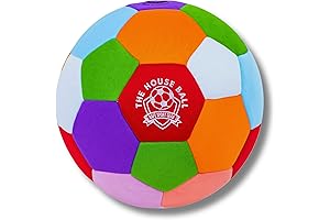 The House Ball: Ultimate Indoor Soccer Fun