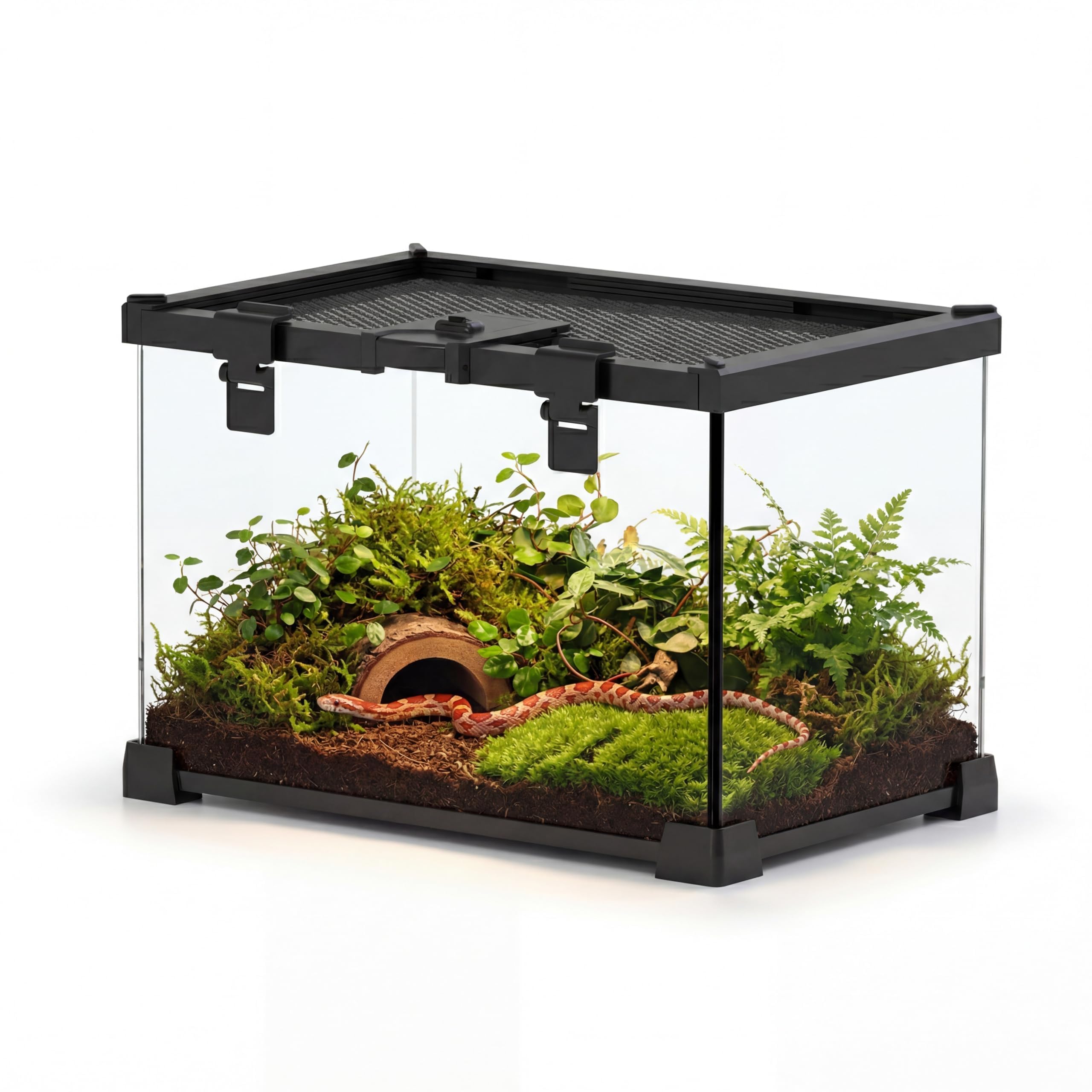 Mini terrario in vetro per rettili, 30,5 x 20,3 x 20,3 cm, vasca a vista completa, per piccoli anfibi, gabbia per habitat in vetro, con fessura per l'alimentazione e fibbia di blocco della