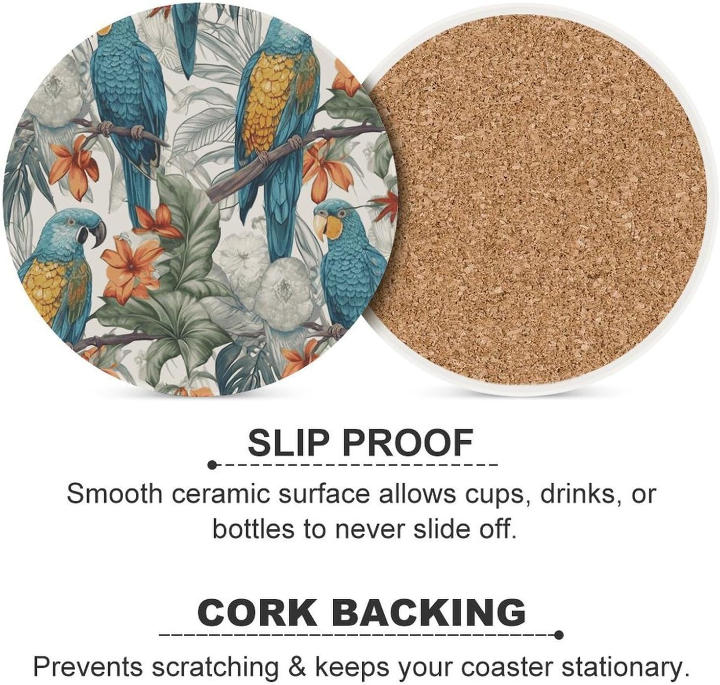 Parrots on Branches Coasters Round Coasters Set Ceramic Stone Coaster with Cork Base Coffee Cup Beverage Cup Mat Cute Funny Table Drinks Coaster for Mugs and Cups Office Kitchen