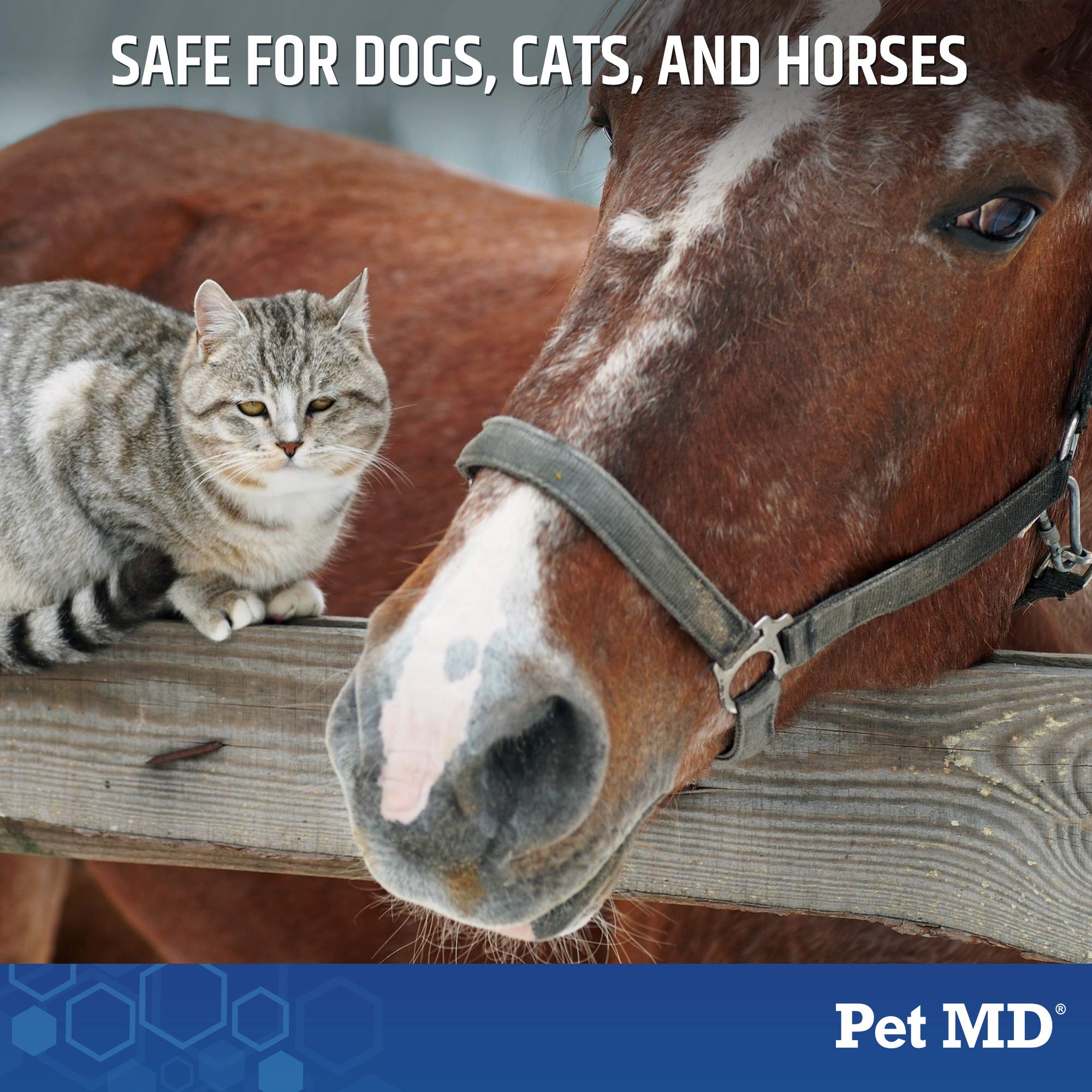 Pet MD Medicated Shampoo for Dogs, Cats, Horses with Ketoconazole