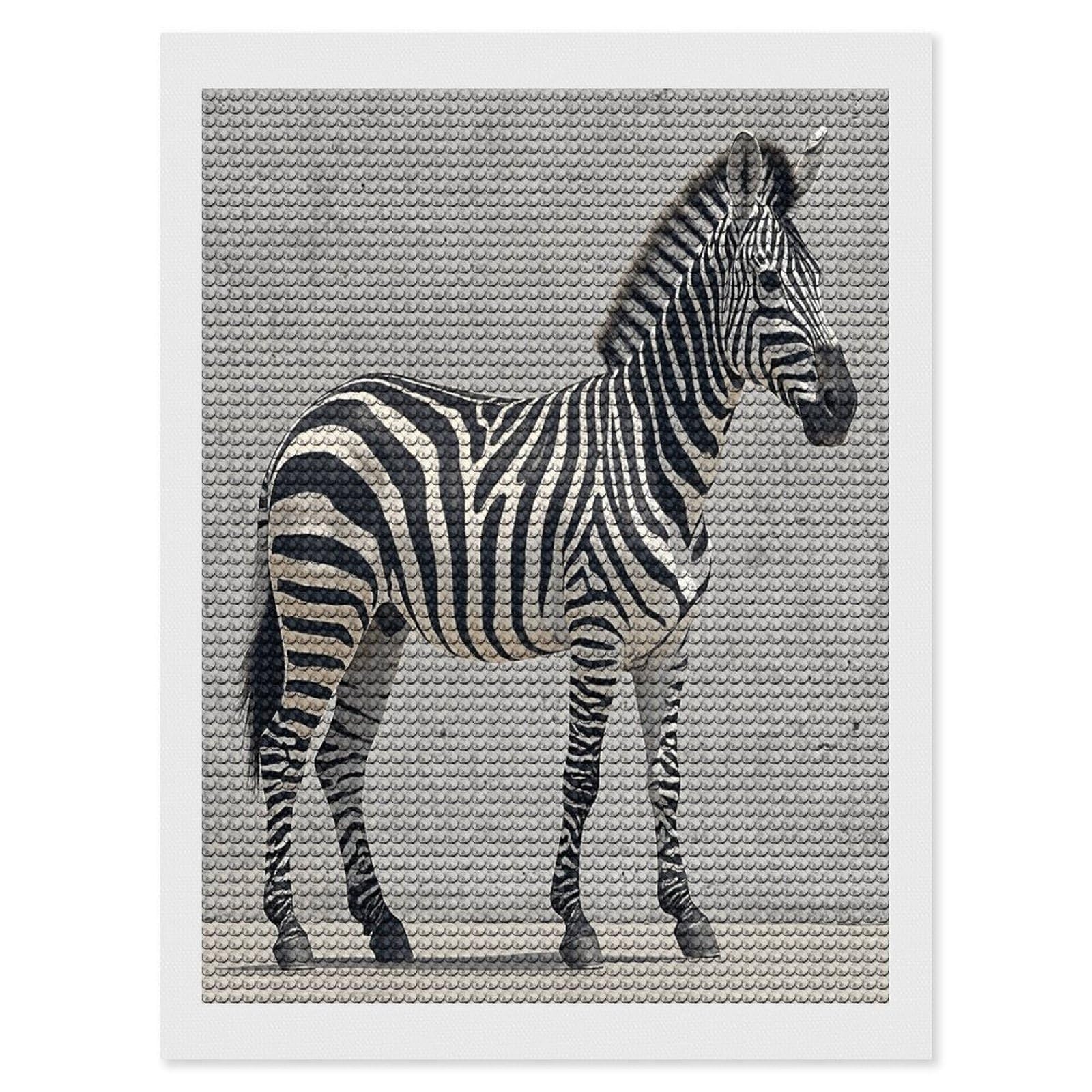 FekiLoot Zebra on The Wall Diamond Painting Kits for Adults Full Round Drill Diamond Art Kits for Beginners 5D DIY Diamond Dots Paintings Diamonds Pictures Gem Art Home Wall Decor 12"x16"