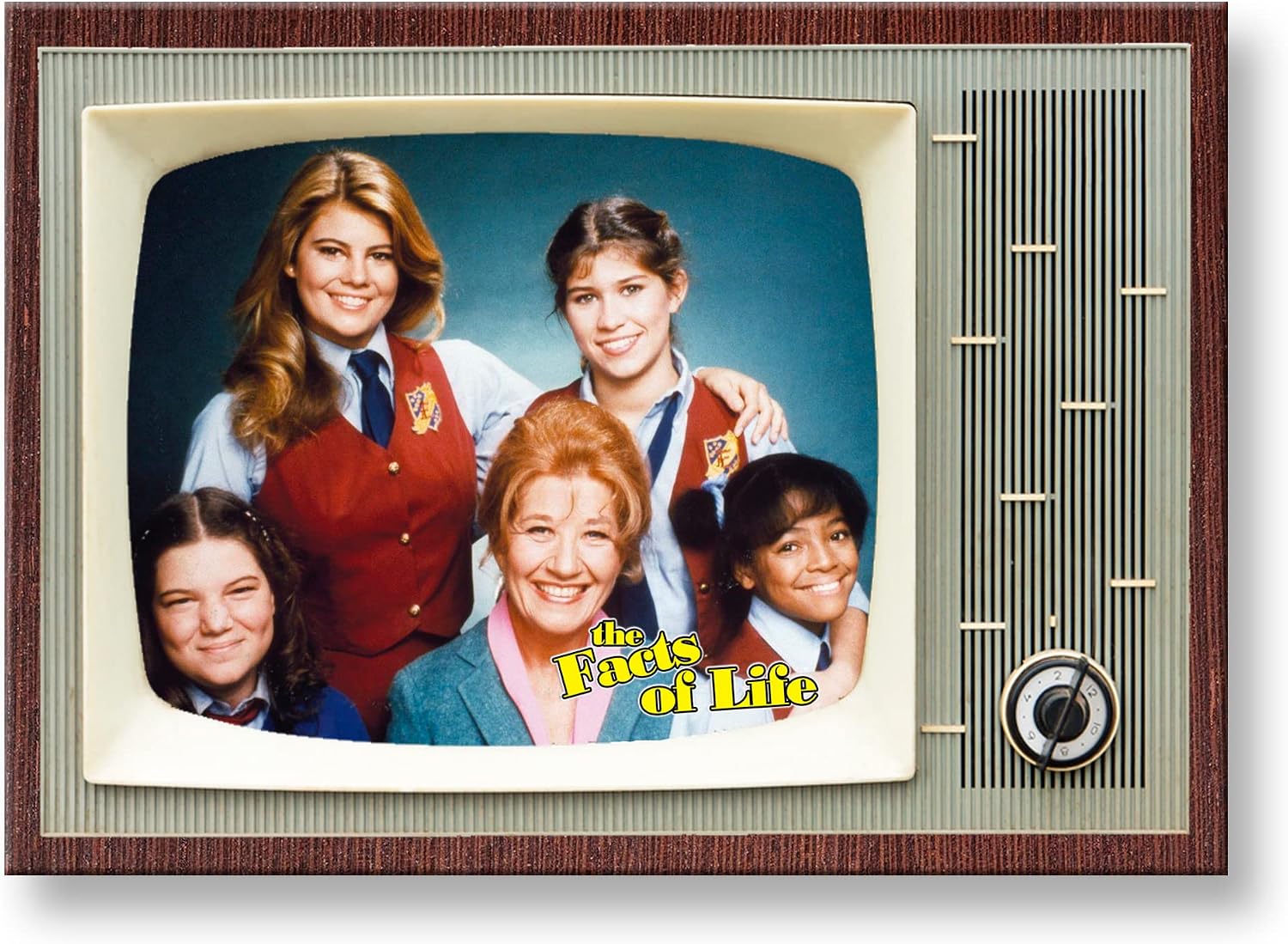 Facts of Life TV Show Retro TV Design Fridge Magnet