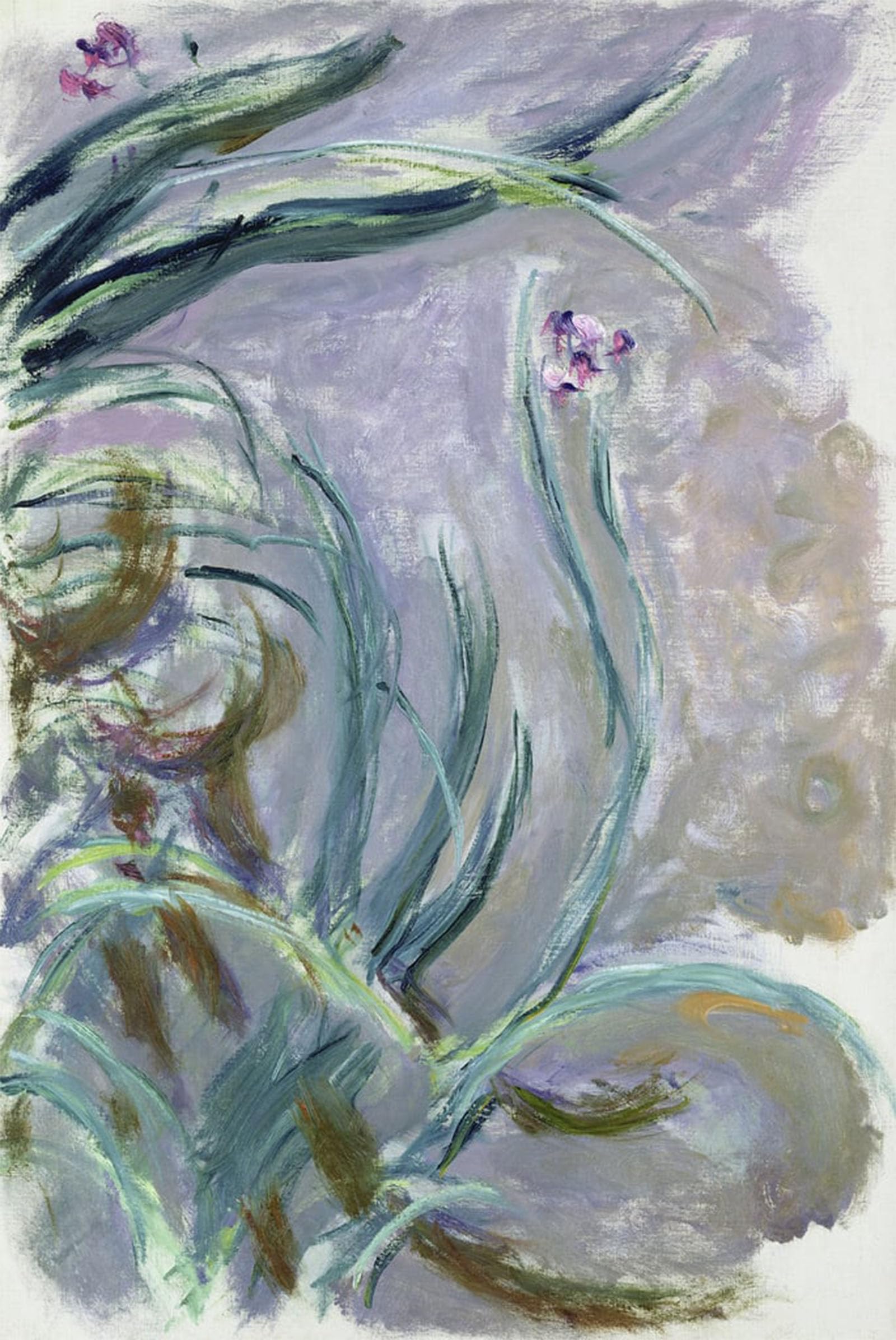 ARTXLXXBN Famous Painting Art Wall Decor Abstract Art Picture Iris by Claude Monet Animal Pictures for Home Decor 60x90cm