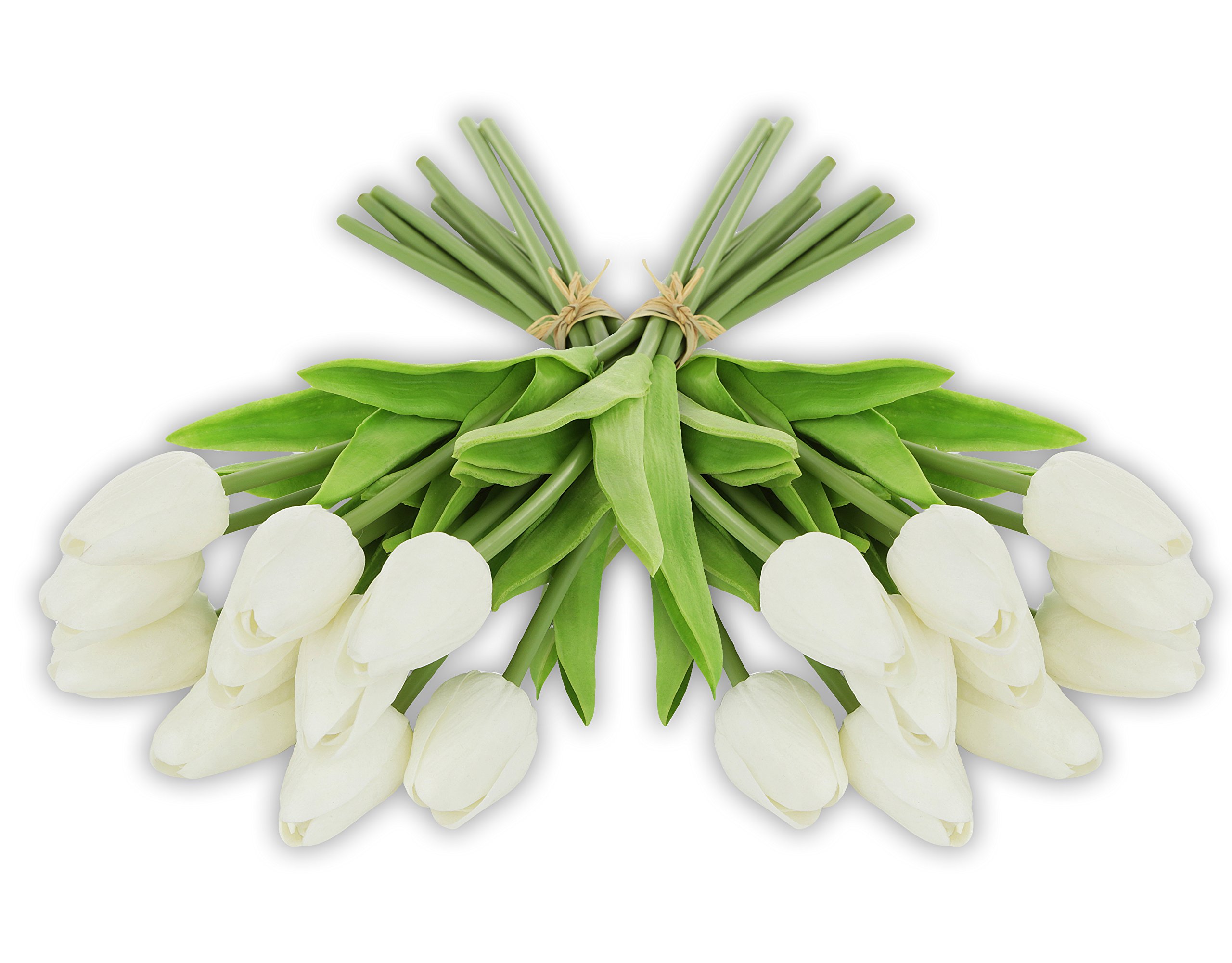 Tulip Bulbs In Glass Vase Decor For You