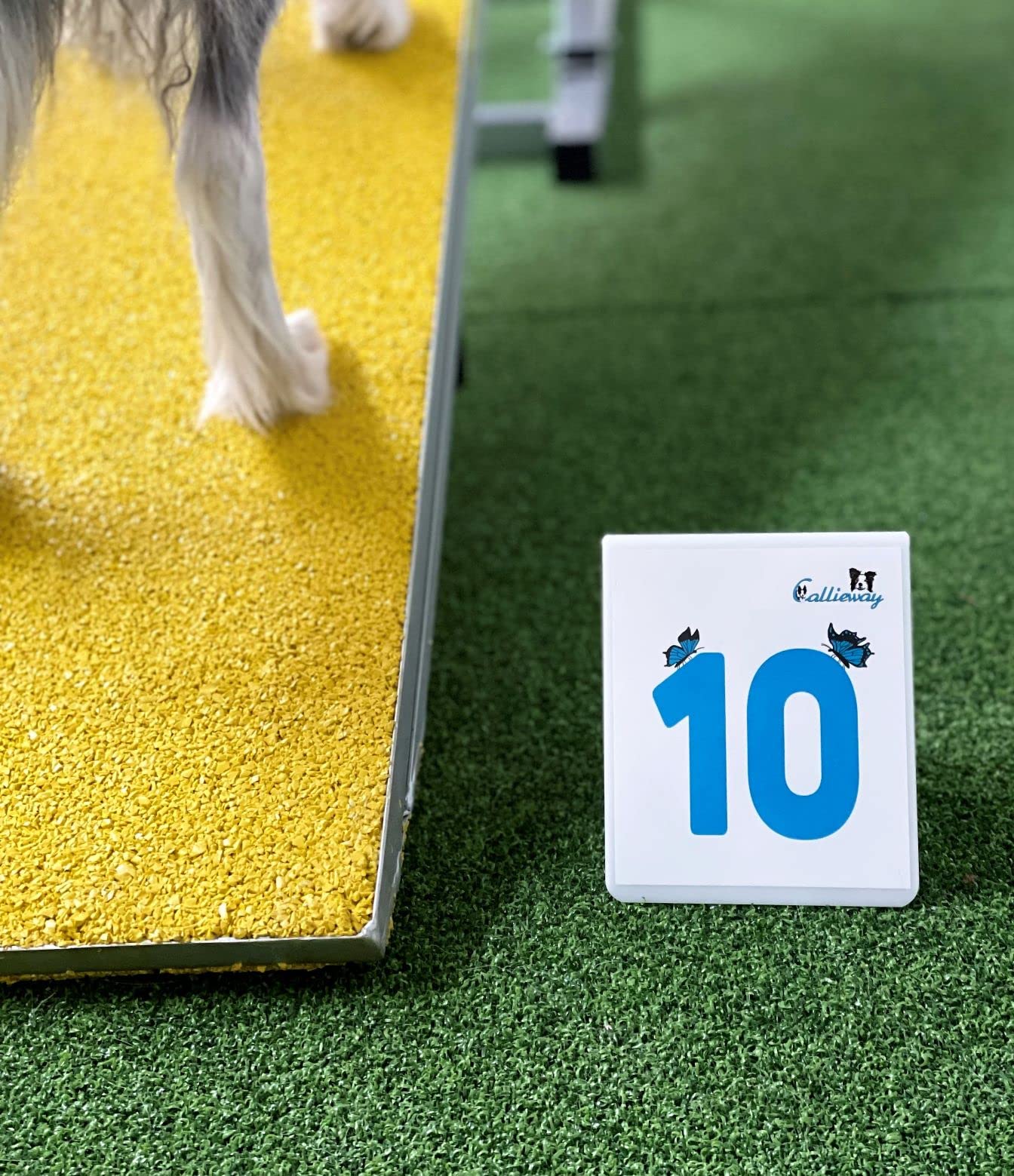 Callieway Un lotto di numeri/in materia PS/numeri di percorso di agilità/numeri per Rally obedienza/per Tornei e allenamento (Blu Cool)