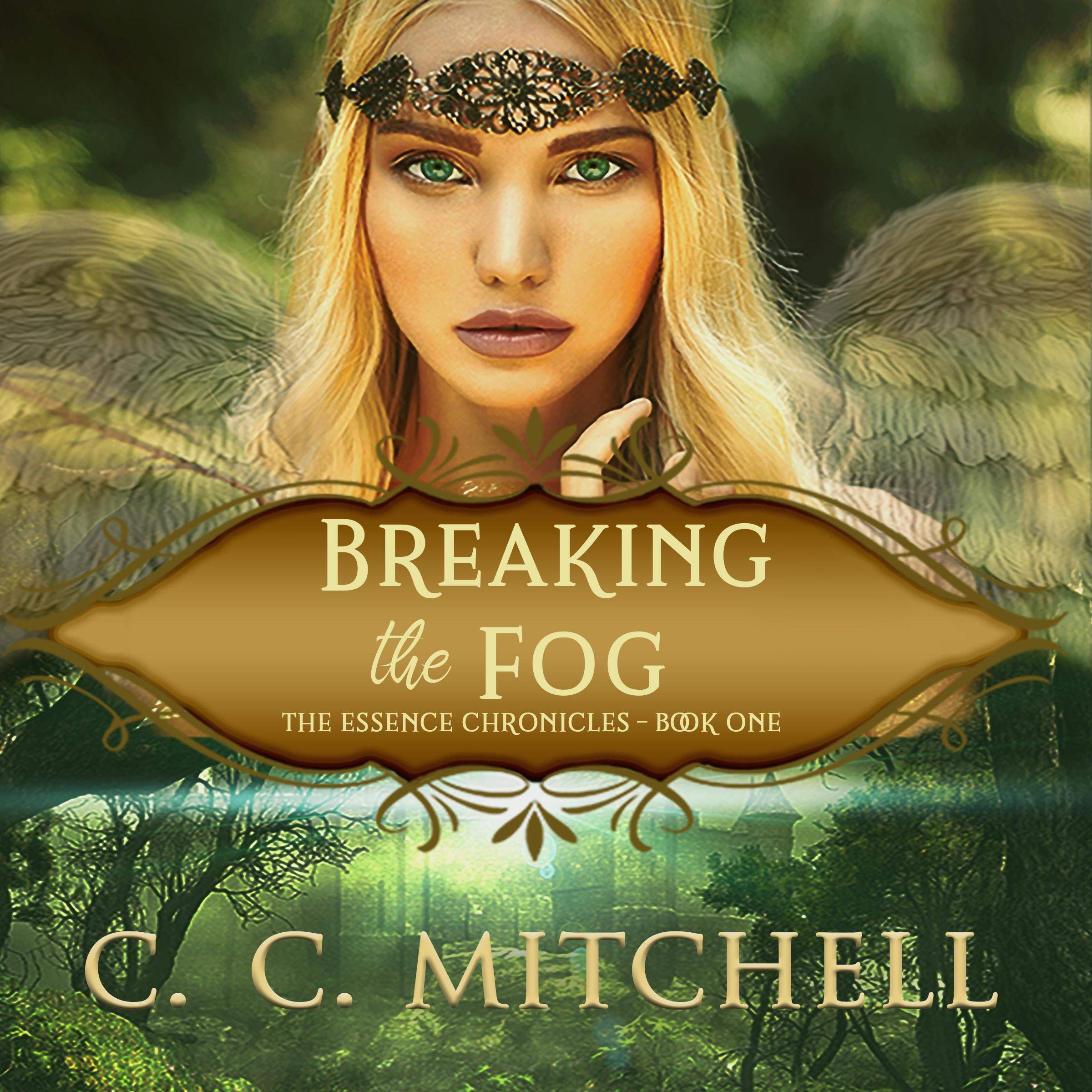 Cover art for Breaking the Fog