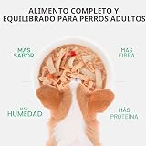Ver la foto 6
