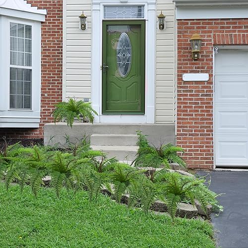 Miniatura 9 de Plantas artificiales de helecho, 2 unidades, plantas falsas de helecho boston, arbustos para exteriores, vegetación, 19.7 pulgadas, resistentes a