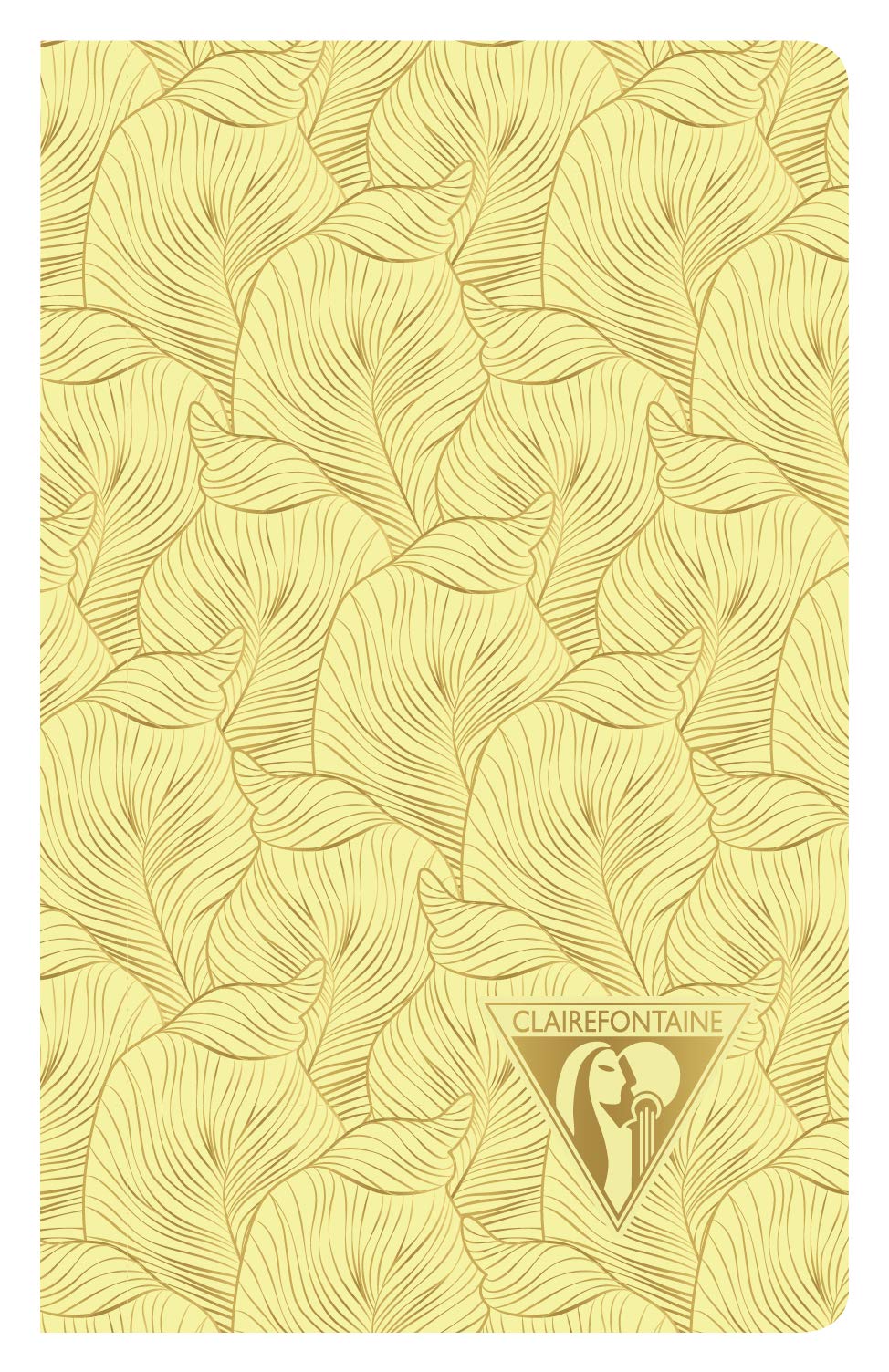 Clairefontaine 193086C 12 Hefte NeoDeco 7,5x12cm 24 Blatt liniert sortiert