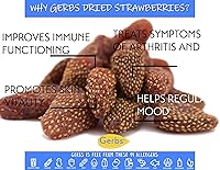 Vista 45 de GERBS rodajas de mango disecadas dulces 4 libras. Sin sulfuro, sin aditivos artificiales, bolsa resellable Naturalmente masticables y dulces