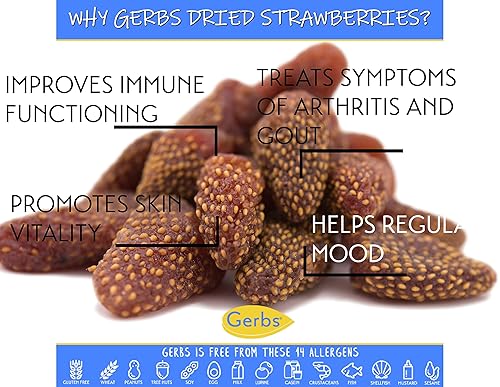 Miniatura 2 de Frutas secas GERBS Top 14 libres de alergia alimentaria sin sulfuro sin conservantes sin OMG vegano