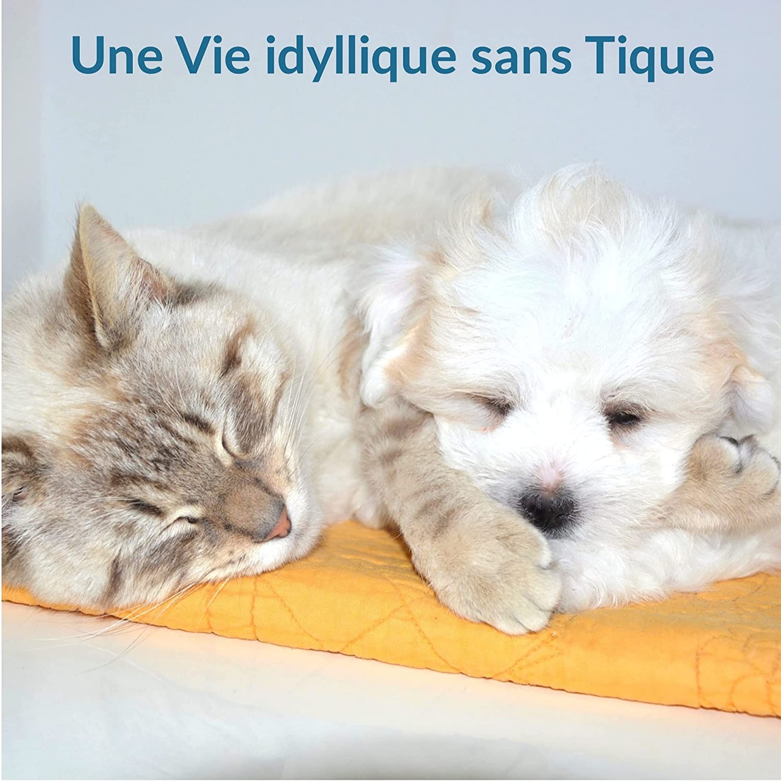 Tire Tique,produit anti tique, Accessoire Antiparasitaire BONUS OFFERT, Retire/Enlève/Attrape parasites, Lot de 3 pinces pour Chat Chien Humain