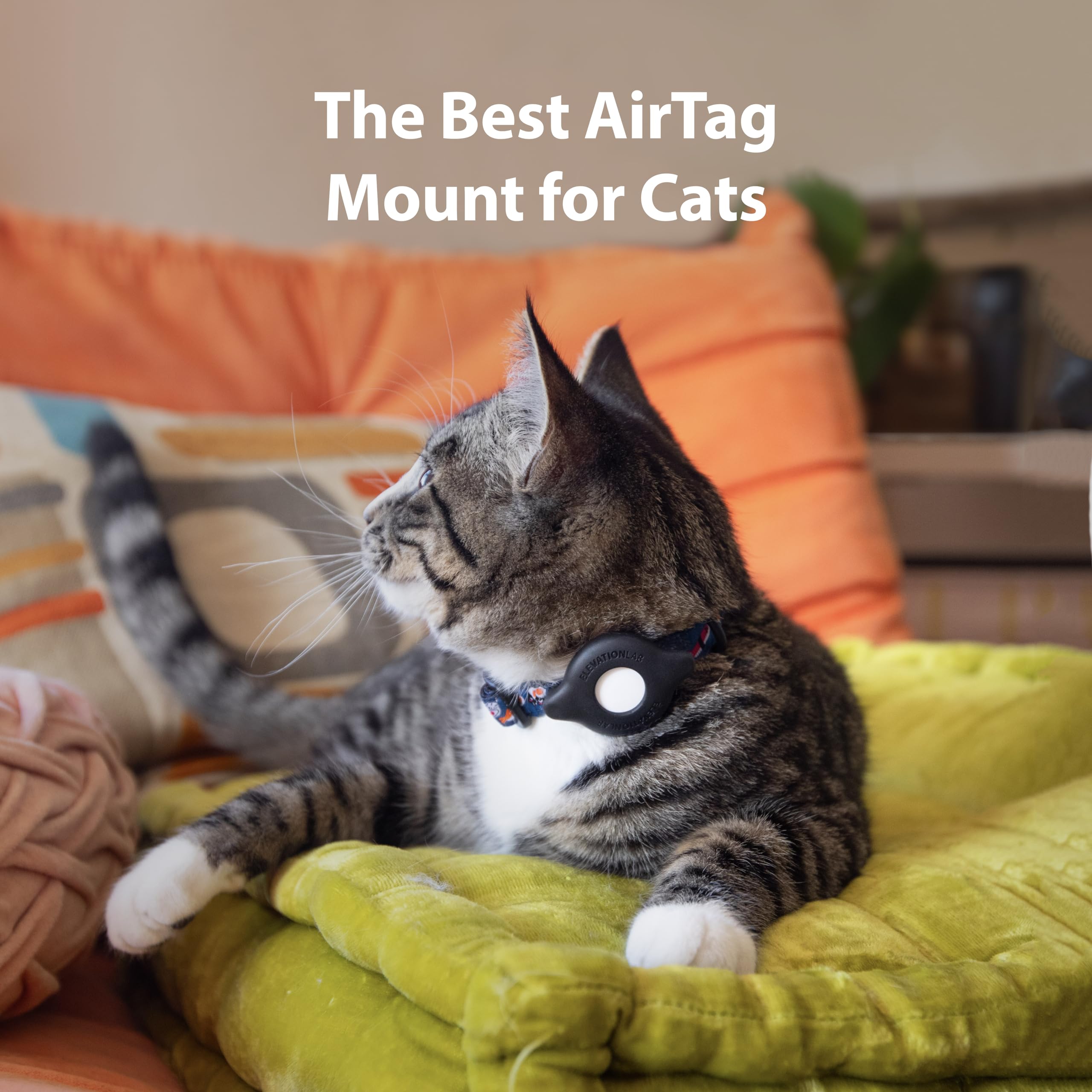 TagVault™ AirTag Katzenhalsband-Halterung (4er-Pack), sichere und kompakte AirTag-Halterung für Katzen, baumelt nicht, auch für kleine Hunde Elevation Lab