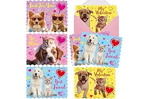 Fancy Land Valentines Cards Scratch and Sniff Kitten Dog Card