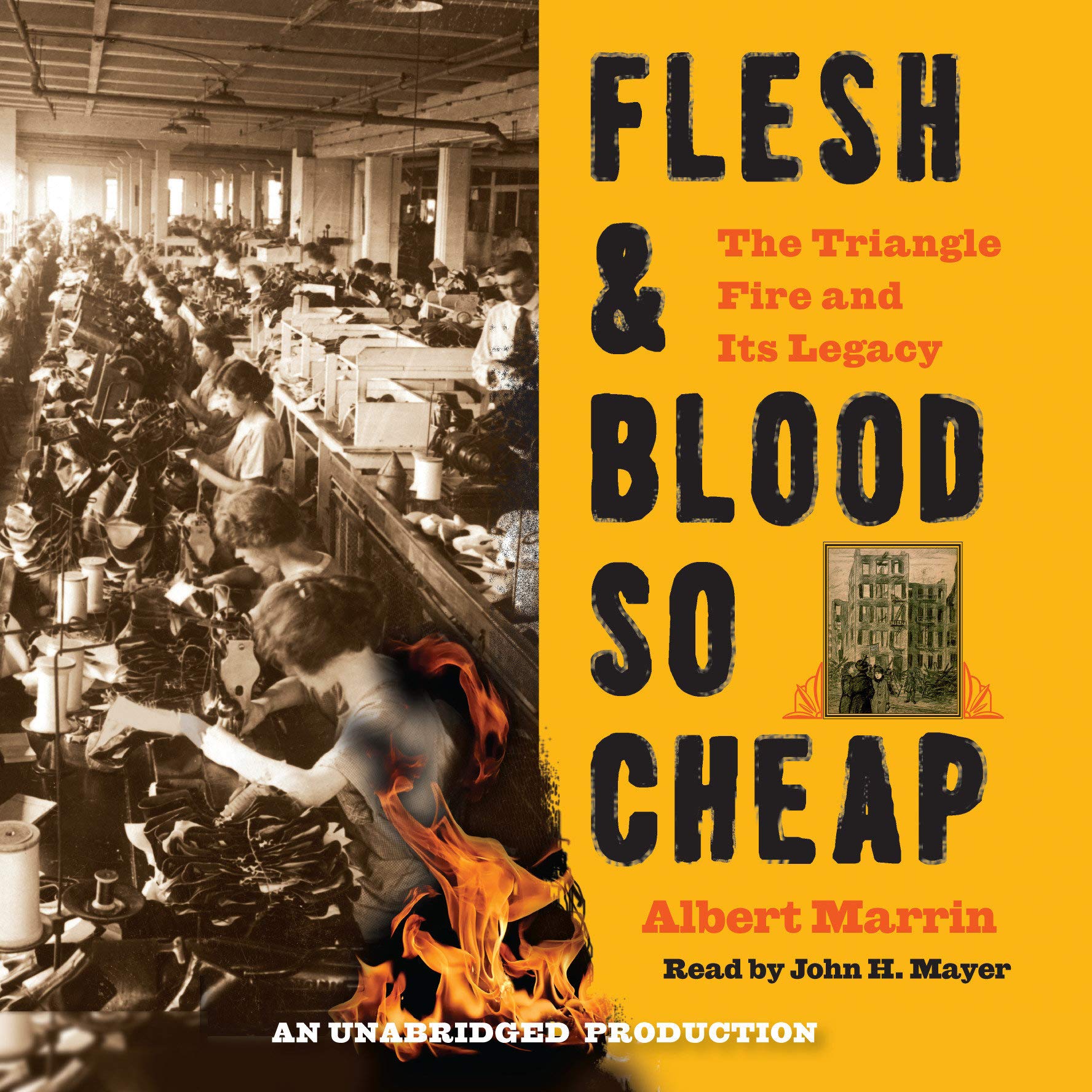 Cover art for Flesh and Blood So Cheap: The Triangle Fire and Its Legacy