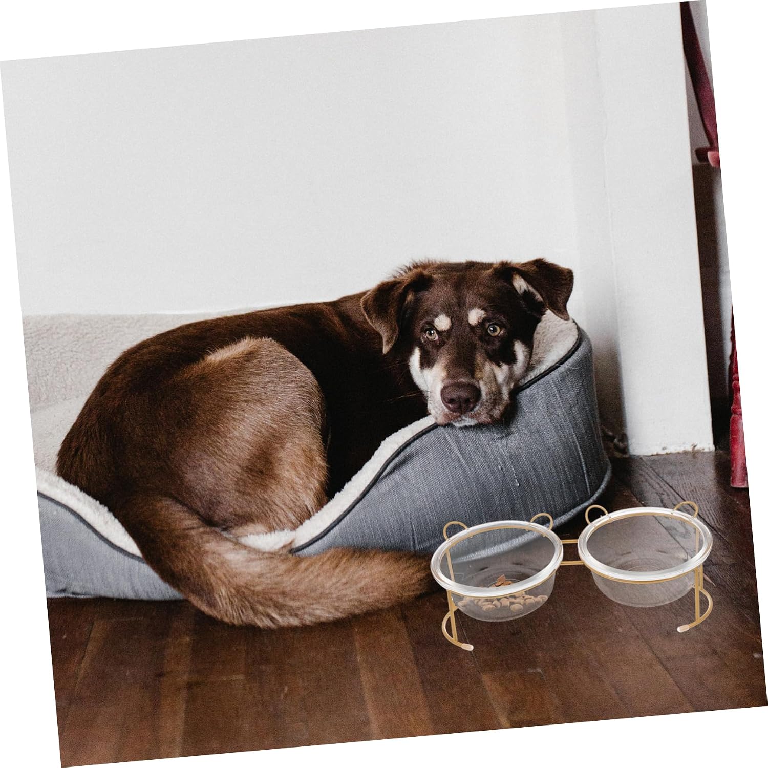 VANZACK Glass Cat Bowl Stand Elevated Cat Bowl Skid-Resistant Design Pet Food for