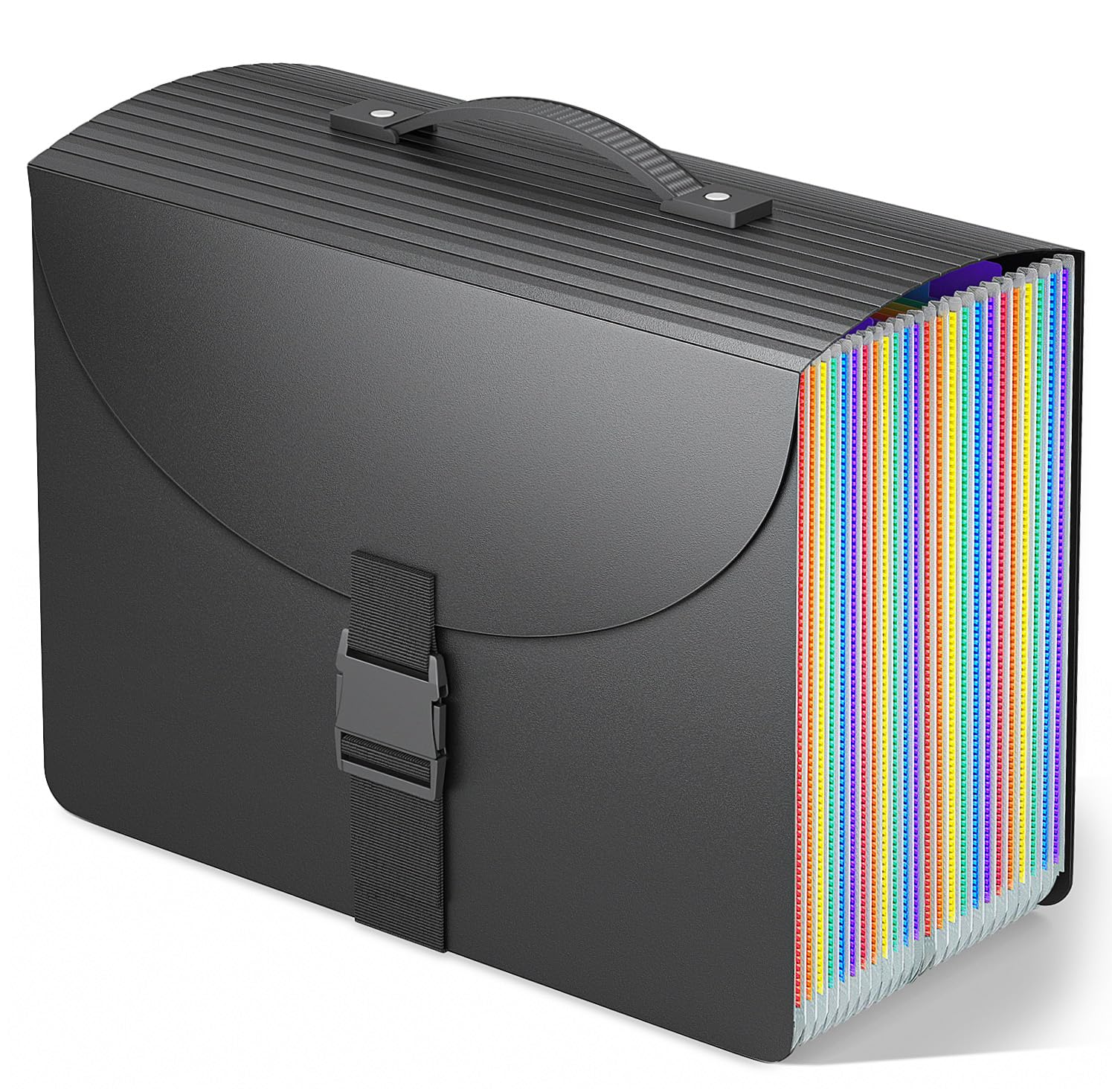 TOPCJ 24 Expanding File Foldes with Handle and Strap, Matte