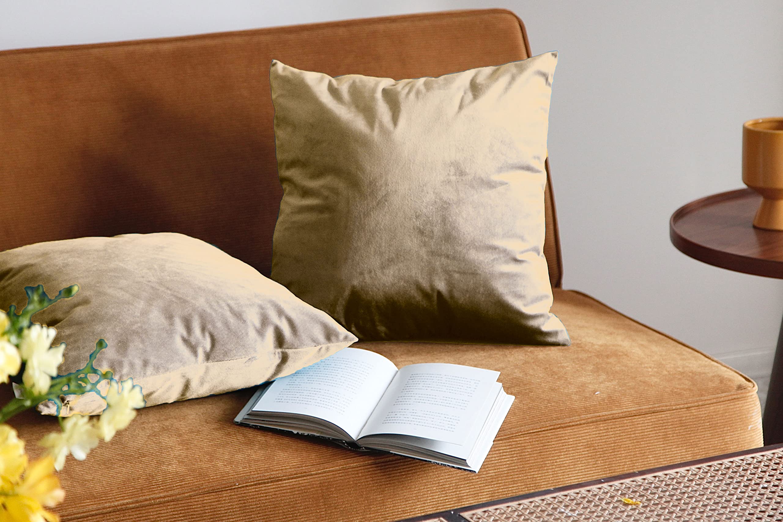 Pagnanno. Biscuit Set Of 2 Soft Velvet Cushion Covers 45X45cm(18X18 Inches) Plain Throw Pillowcases Square Cushion Covers For Chairs,Living Room,Bedroom With Invisible Zipper ((Pack Of 2), )