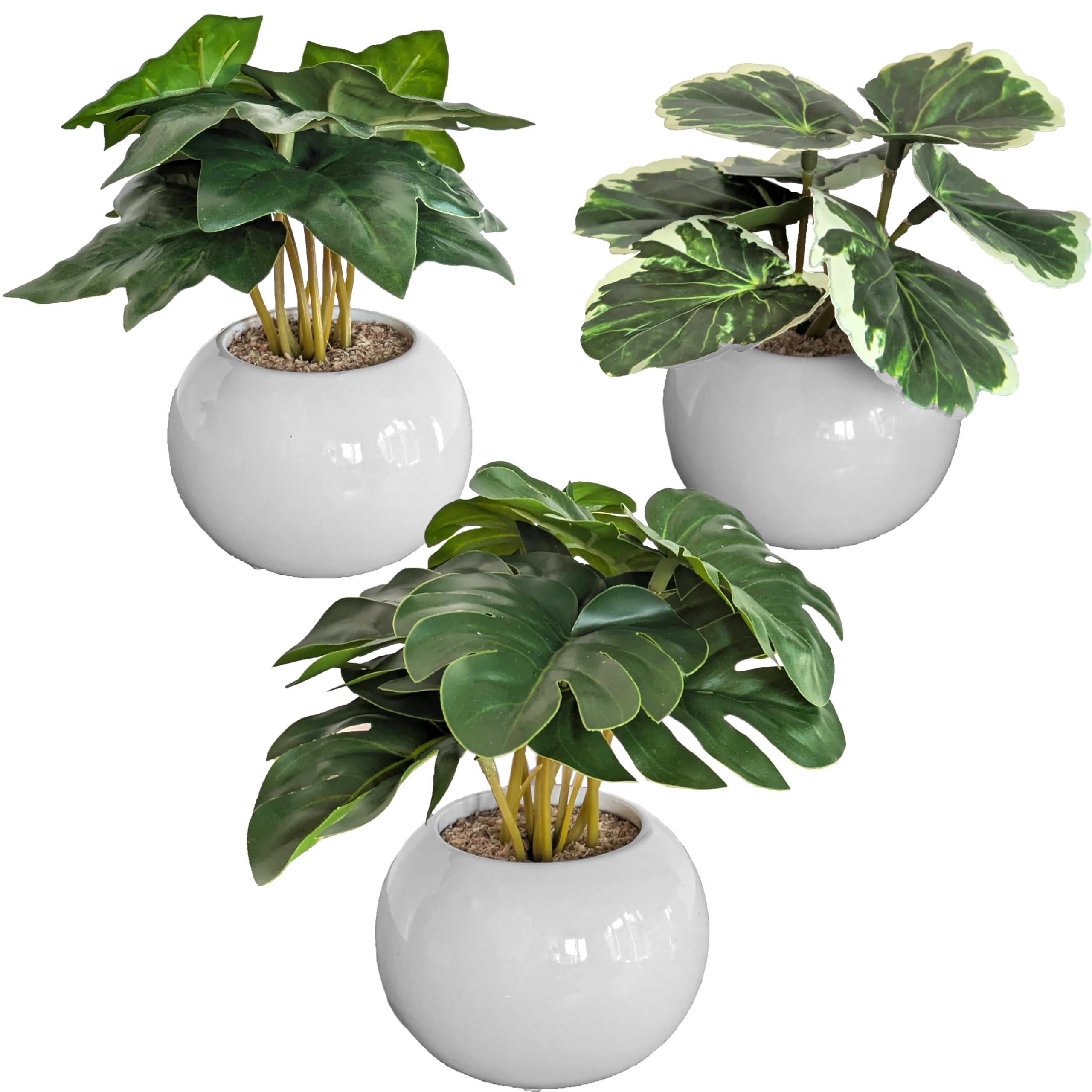 Amazon｜フェイクグリーン 観葉植物 光触媒 抗菌 消臭 卓上 ミニ