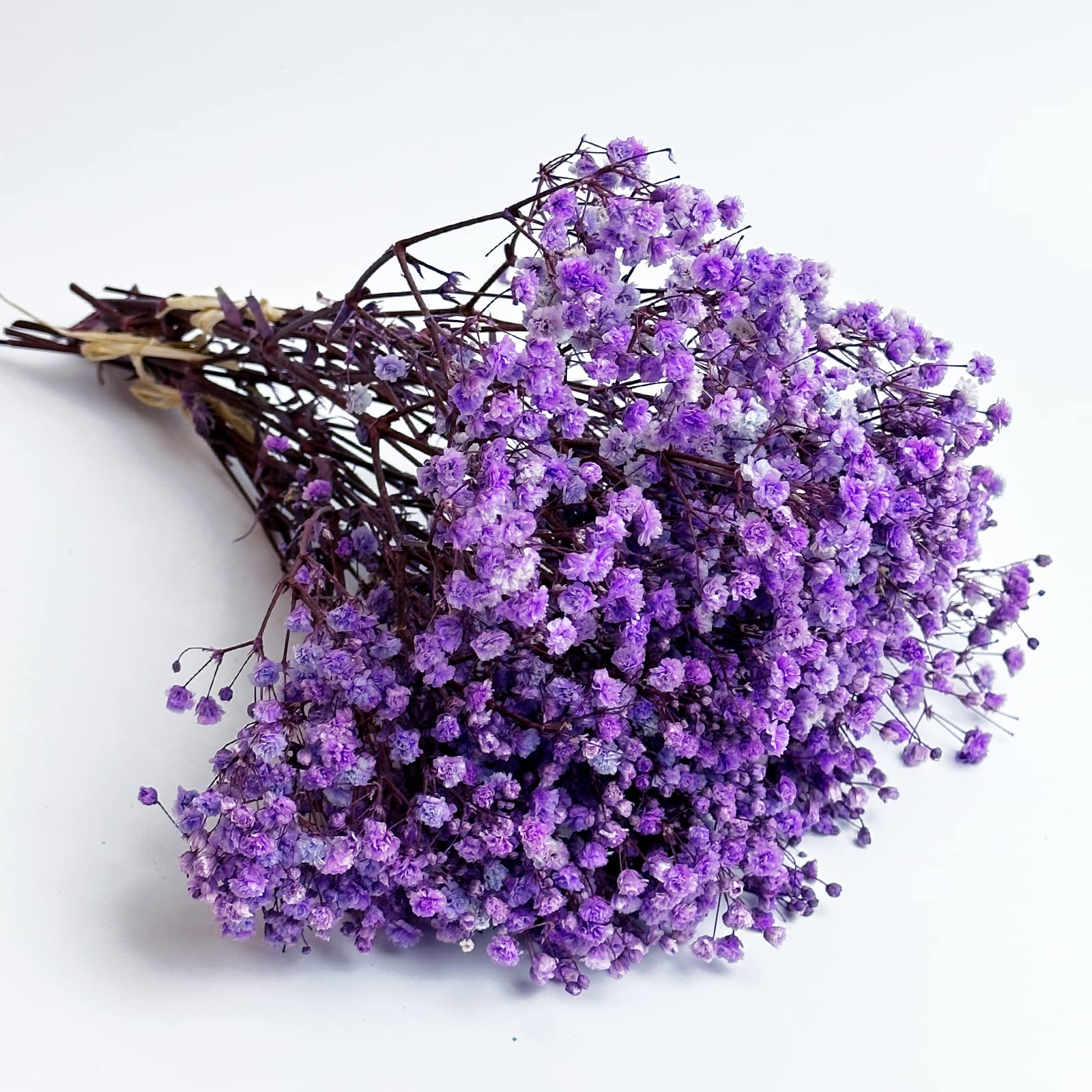 Birtlynn Preserved Baby's Breath Light Purple