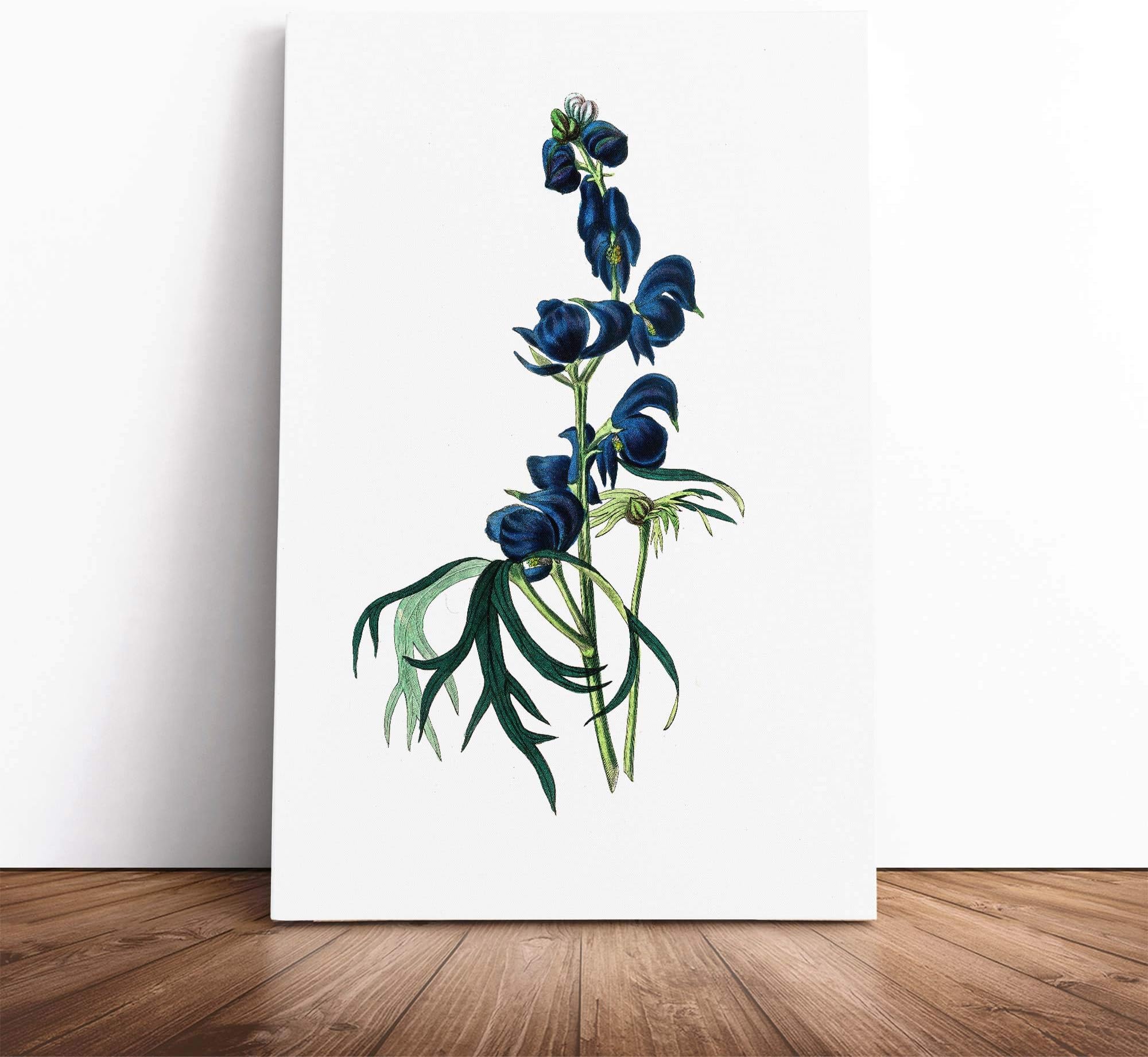 Wolfsbane Flowers Illustration | Canvas Wall Art Print | Framed & Ready to Hang Picture | Modern Home Decor for Living Room, Bedroom, Kitchen or Office | 30x20 Inches